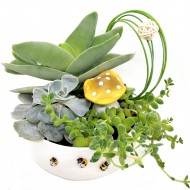 ԿՐԱՍՈՒԼԱ  ԵՎ ԷԽԵՎԵՐԻՅԱ