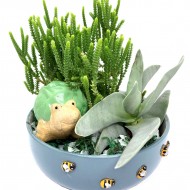 ԹԱՆՁՐԱՏԵՐԵՎՈՒԿ/ԿՐԱՍՈՒԼԱ