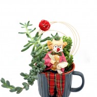 ԴԵԼՈՍՊԵՐՄԱ ԵՎ  ԹԱՆՁՐԱՏԵՐԵՎՈՒԿ/ԿՐԱՍՈՒԼԱ